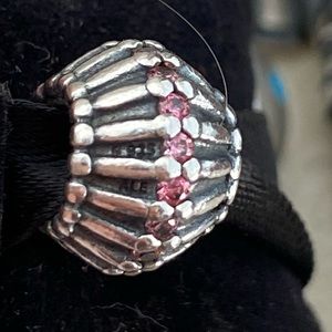 Beautiful Pandora Charm